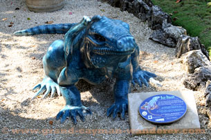 Grand Cayman map, blue iguana statue