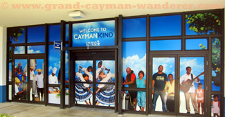 Grand Cayman Airport doors with mural