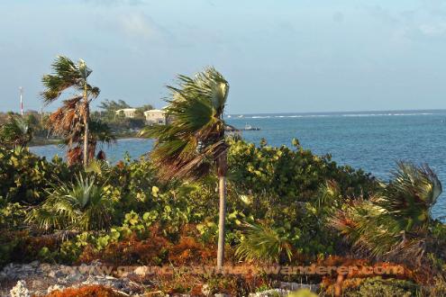 Grand Cayman Island Tours, view along the southern coast