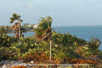 Grand Cayman Villas around South Sound