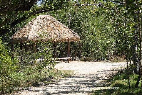Grand Cayman nature trails -- woodland trail rest stop